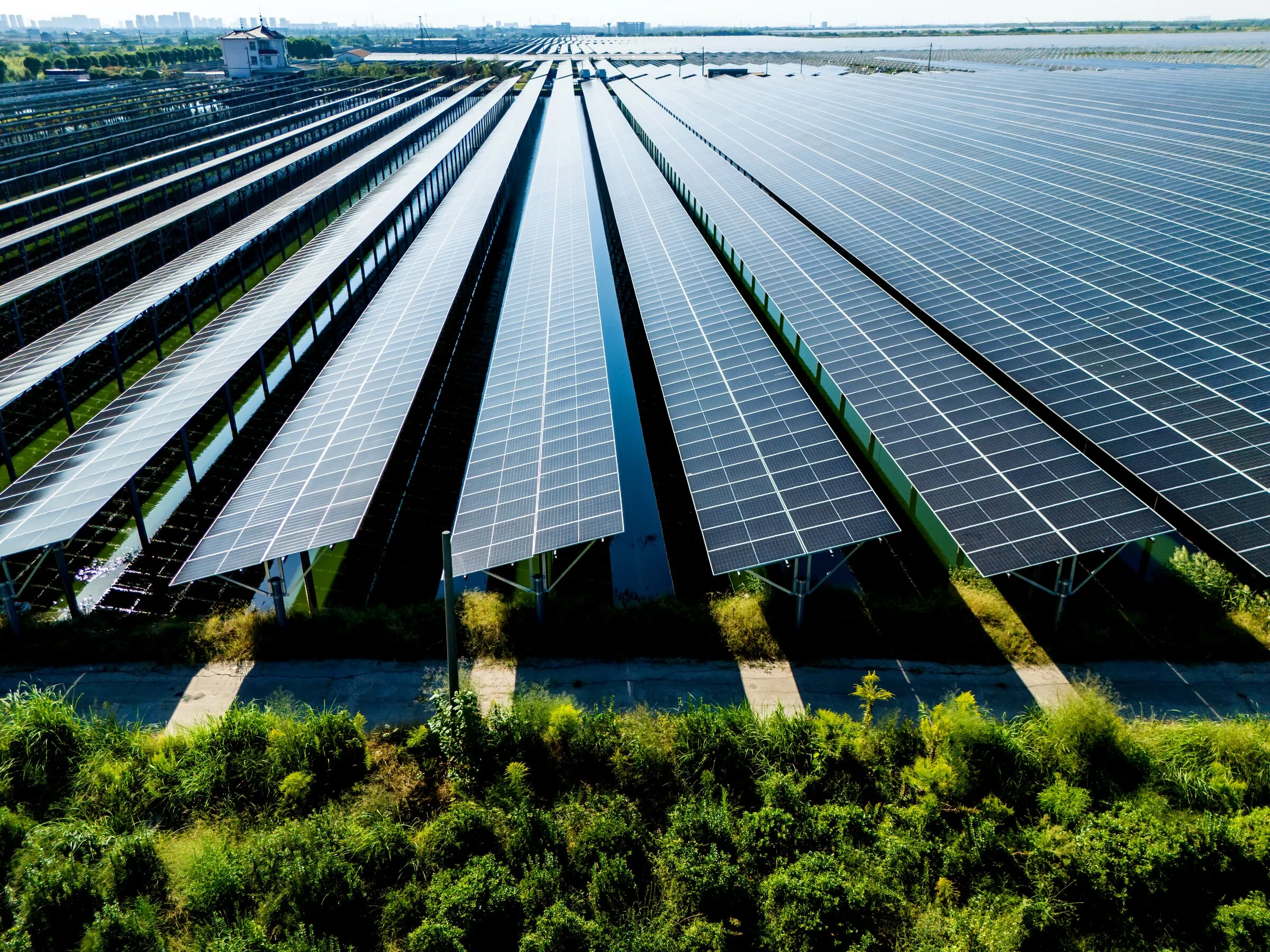 Aerial view of rows of ground-mounted solar panels at a large solar facility
